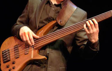 5 string fretless bass