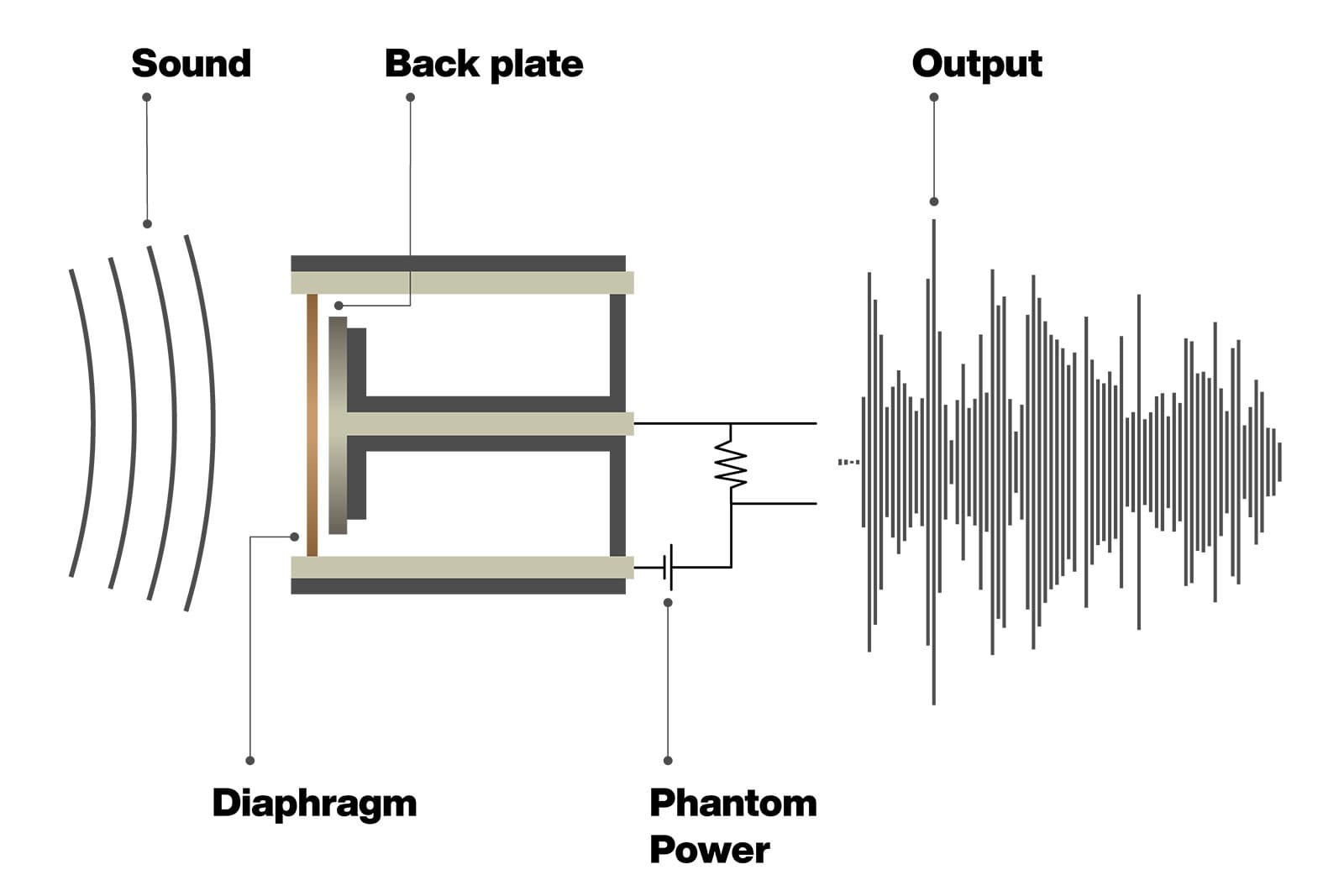 What are the differences between dynamic and condenser microphones